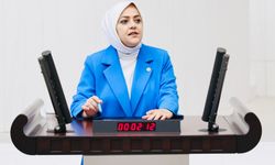 Sema Silkin Ün'den Bakan Şimşek’e Sert Tepki: “Hayat Yüzdelerle Yaşanmıyor”