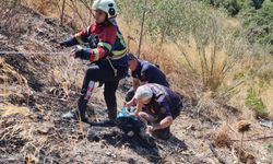 Patlıcan közlerken uçurumdan yuvarlandı