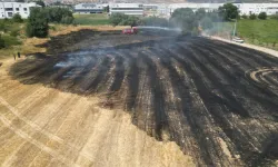 Akhisar'da Tarlalık Alanda Çıkan Yangın Kısa Sürede Söndürüldü