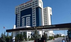 Tarım Bakanlığı'ndan 'Hayvan Pazarları' ve 'Yapay Et' İddialarına Net Yalanlama