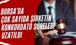 Bursa'da Çok Sayıda Şirketin Konkordato Süreleri Uzatıldı, 1 Firma İflas Etti