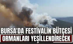 Bursa'da festivalin bütçesi, ormanları yeşillendirecek