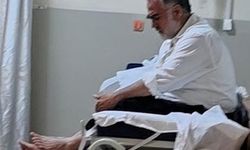 Bursa'da Mevsimlik İşçiyi Yılan Soktu!