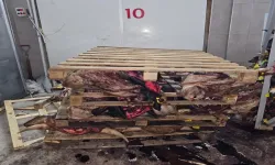 Bursa’da sakatatçılara satılmak istenen çürük kafalar kıskıvrak yakalandı!