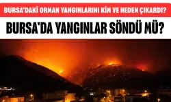 Bursa’daki Orman Yangınlarını Kim ve Neden Çıkardı? Bursa'da Yangınlar Söndü Mü? İşte Son Gelişmeler...