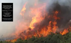 Dolandırıcılar Bursa’daki Orman Yangınını Fırsata Çevirdi!