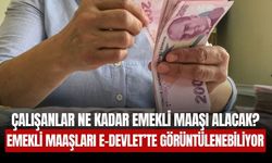 Çalışanların Emekli Maaşları e-Devlet’te Görüntülenebiliyor