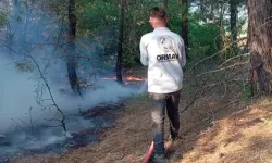 Amasya’da Orman ve Tarım Arazisinde Yangın: 25 Dekar Alan Zarar Gördü
