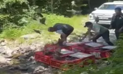 Bursa’da Kene ile Mücadele İçin Bin 400 Keklik Doğaya Salındı
