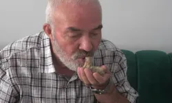 Bursa’da Ölmek Üzere Bulduğu Güvercini Ağzıyla Besleyerek Hayata Döndürdü
