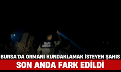 Bursa'da Ormanı Kundaklamak İsteyen Şahıs Son Anda Fark Edildi