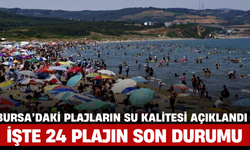 Bursa’daki Plajların Su Kalitesi Açıklandı: İşte 24 Plajın Son Durumu