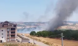 İnegöl’de Buğday Tarlasında Korkutan Anız Yangını