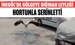 İnegöl’de Gölgeye Sığınan Leyleği Hortumla Serinletti