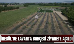 İnegöl’de Lavanta Bahçesi Ziyarete Açıldı!