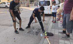 İnegöl'de Mahsur Kalan Kargayı İtfaiye Kurtardı