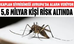 Kaplan Sivrisineği Avrupa'da Alarm Veriyor! 5,6 Milyar Kişi Risk Altında
