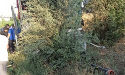 Konya’da yolcu otobüsü yoldan çıkarak ağaçlara çarptı