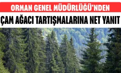 Orman Genel Müdürlüğü'nden Çam Ağacı Tartışmalarına Net Yanıt