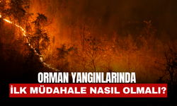 ORMAN YANGINLARINDA İLK MÜDAHALE NASIL OLMALI?
