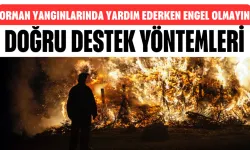Orman Yangınlarında Yardım Ederken Engel Olmayın! İşte Doğru Destek Yöntemleri