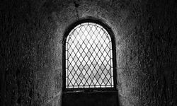 Rüyada Hücre Görmek Ne Anlama Gelir? Dini Rüya Tabirleri