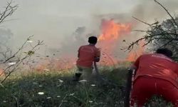 Sakarya'da Yangın Faciası