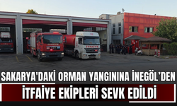 Sakarya'daki Orman Yangınına Bursa ve İnegöl’den İtfaiye Ekipleri Sevk Edildi