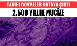 2.500 Yıllık Mumyanın Dövmeleri İlk Kez Net Görüntülendi