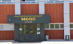 Araç içerisinde kuzeni tarafından vurularak öldürüldü