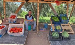 Bir memleket klasiği bahçeden topladığı sebzelerin parasını bakın nasıl ödedi..