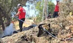 Bursa Mudanya’da çıkan orman yangını kontrol altına alındı