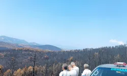 Bursa’da Yanan Ormanlar İçin Havadan ve Karadan Sayım Başlatıldı