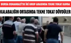 Bursa Osmangazi’de İki Grup Arasında Tekme Tokat Kavga Kamerada