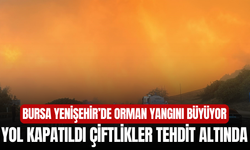Bursa Yenişehir’de Orman Yangını Büyüyor: Yol Kapatıldı, Çiftlikler Tehdit Altında