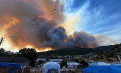 Bursa'daki orman yangınında son durum ne?