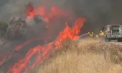 California’daki Orman Yangınında 12 Bin Hektar Alan Kül Oldu