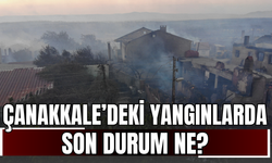 Çanakkale’deki Yangınlarda Son Durum Ne?