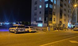 Dolaptaki eşyasının yerini değiştirdiği için kardeşini bıçakladı
