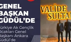 Ferhat Aydoğan depremde yakınlarını kaybeden 87 yaşındaki dedeye sahip çıktı