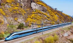 Feci Tren Kazası: 2 İşçi Hayatını Kaybetti, 4 Yaralı