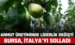 Armut Üretiminde Liderlik Değişti: Bursa, İtalya’yı Solladı