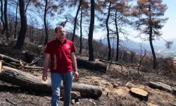 Bursa'da 3 Bin Kilo Tohum, Yanan Bölgelerde Toprakla Buluşacak