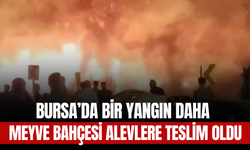 Bursa’da Bir Yangın Daha: Meyve Bahçesi Alevlere Teslim Oldu