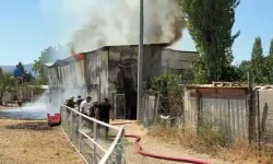 Bursa'da Çıkan Yangında 1 At ve 2 Keçi Telef Oldu