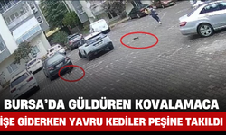 Bursa’da Güldüren Kovalamaca: İşe Giderken Yavru Kediler Peşine Takıldı