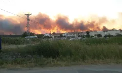 Enez’de Tarla Yangını Ormana Sıçradı: Yazlık Evler Tehdit Altında