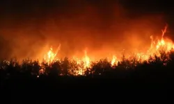 Gelibolu’daki Orman Yangınında 5 Köyden 251 Kişi Tahliye Edildi
