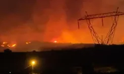 Manisa'da Orman Yangını: Havadan ve Karadan Müdahale Sürüyor