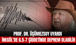 Prof. Dr. Üşümezsoy Uyardı: İnegöl’de 6.5-7 Şiddetinde Deprem Olabilir